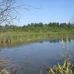 В Кемерове появилась новая особо охраняемая природная территория – природный комплекс «Петровский»