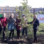 Единый день посадки деревьев в Новокузнецке