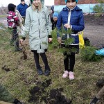 Природоохранная акция по посадке деревьев в Прокопьевске