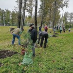 В городском парке им. А. Суворова в Мариинске продолжается благоустройство