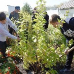 День посадки леса в школе-интернате № 30 из Кемерова