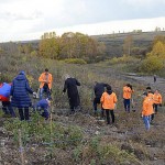 УК «Кузбассразрезуголь» провёл экологическую акцию «Зелёная волна»